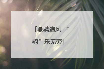 驰骋追风 “骑”乐无穷