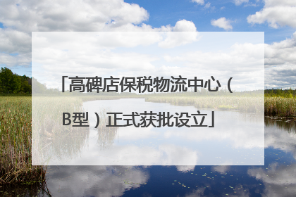 高碑店保税物流中心（B型）正式获批设立