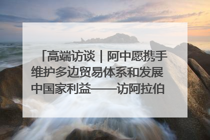 高端访谈｜阿中愿携手维护多边贸易体系和发展中国家利益——访阿拉伯议会议长亚马希