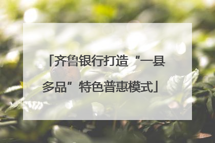 齐鲁银行打造“一县多品”特色普惠模式