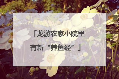龙游农家小院里有新“养鱼经”