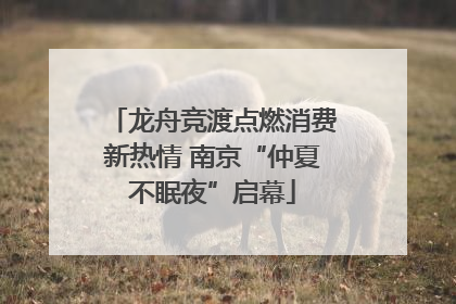 龙舟竞渡点燃消费新热情 南京“仲夏不眠夜”启幕