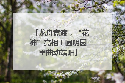 龙舟竞渡，“花神”亮相！圆明园里曲动端阳