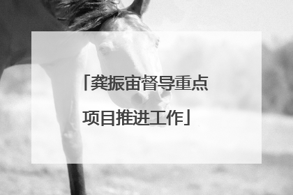 龚振宙督导重点项目推进工作