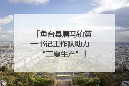鱼台县唐马镇第一书记工作队助力“三夏生产”