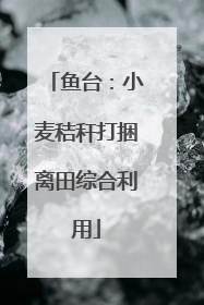鱼台：小麦秸秆打捆离田综合利用