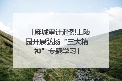 麻城审计赴烈士陵园开展弘扬“三大精神”专题学习