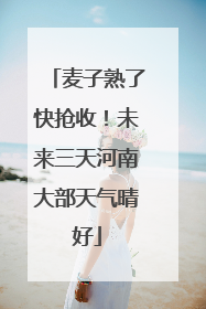 麦子熟了快抢收！未来三天河南大部天气晴好