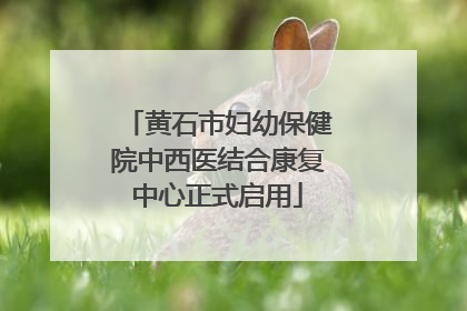 黄石市妇幼保健院中西医结合康复中心正式启用