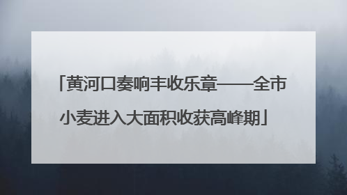 黄河口奏响丰收乐章——全市小麦进入大面积收获高峰期