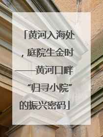 黄河入海处，庭院生金时——黄河口畔“归寻小院”的振兴密码