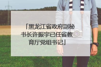黑龙江省政府副秘书长许振宇已任省教育厅党组书记