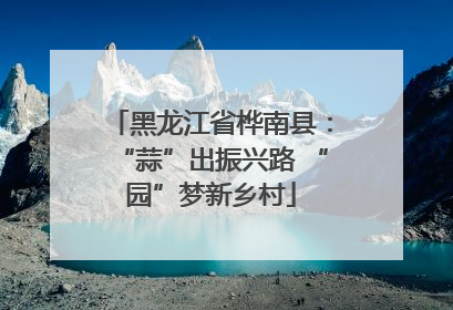 黑龙江省桦南县：“蒜”出振兴路 “园”梦新乡村