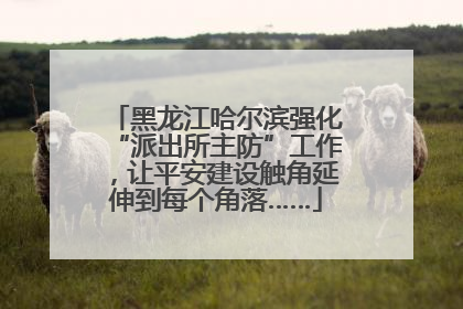 黑龙江哈尔滨强化“派出所主防”工作，让平安建设触角延伸到每个角落……