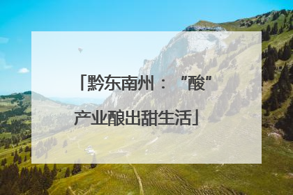 黔东南州：“酸”产业酿出甜生活