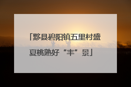 黟县碧阳镇五里村盛夏桃熟好“丰”景