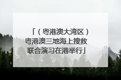 （粤港澳大湾区）粤港澳三地海上搜救联合演习在港举行