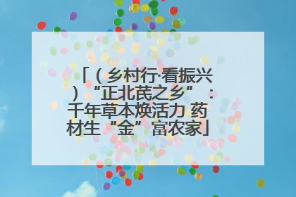 （乡村行·看振兴）“正北芪之乡”：千年草本焕活力 药材生“金”富农家