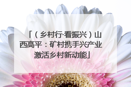 （乡村行·看振兴）山西高平：矿村携手兴产业 激活乡村新动能