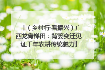 （乡村行·看振兴）广西龙脊梯田：背篓变迁见证千年农耕传统魅力
