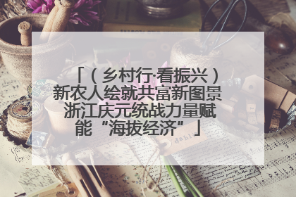 （乡村行·看振兴）新农人绘就共富新图景 浙江庆元统战力量赋能“海拔经济”