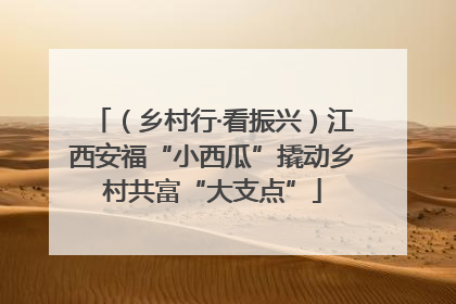 （乡村行·看振兴）江西安福“小西瓜”撬动乡村共富“大支点”