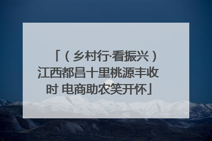 （乡村行·看振兴）江西都昌十里桃源丰收时 电商助农笑开怀