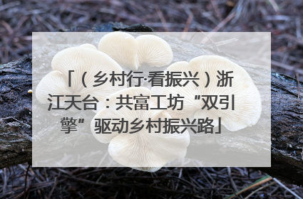 （乡村行·看振兴）浙江天台：共富工坊“双引擎”驱动乡村振兴路