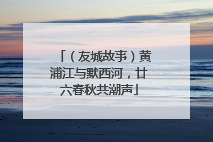 （友城故事）黄浦江与默西河，廿六春秋共潮声
