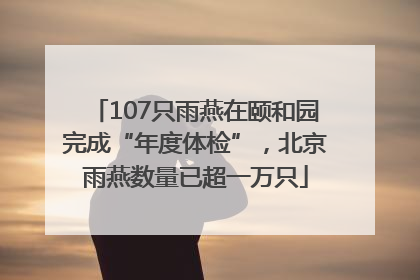 107只雨燕在颐和园完成“年度体检”，北京雨燕数量已超一万只