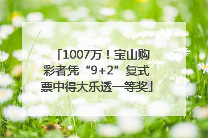 1007万！宝山购彩者凭“9+2”复式票中得大乐透一等奖