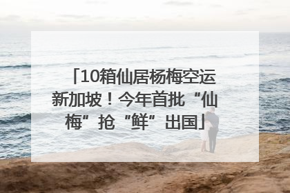 10箱仙居杨梅空运新加坡！今年首批“仙梅”抢“鲜”出国