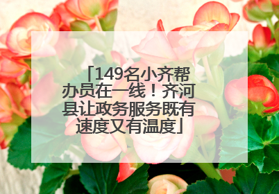 149名小齐帮办员在一线！齐河县让政务服务既有速度又有温度