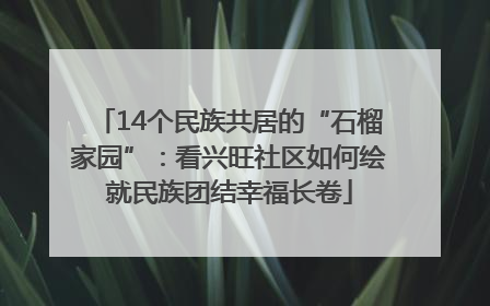 14个民族共居的“石榴家园”：看兴旺社区如何绘就民族团结幸福长卷