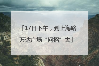 17日下午，到上海路万达广场“问招”去