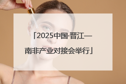 2025中国·晋江—南非产业对接会举行