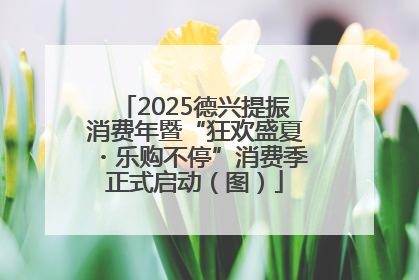 2025德兴提振消费年暨“狂欢盛夏・乐购不停”消费季正式启动（图）
