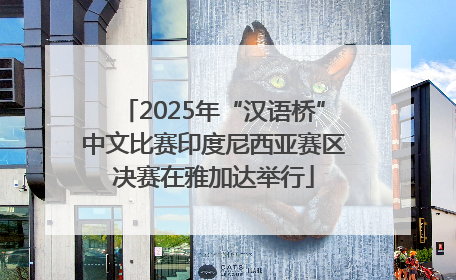2025年“汉语桥”中文比赛印度尼西亚赛区决赛在雅加达举行