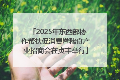 2025年东西部协作帮扶促消费暨糯食产业招商会在贞丰举行
