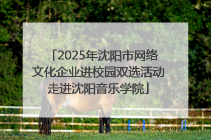 2025年沈阳市网络文化企业进校园双选活动走进沈阳音乐学院