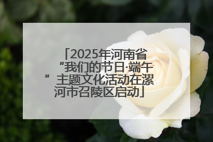 2025年河南省“我们的节日·端午”主题文化活动在漯河市召陵区启动