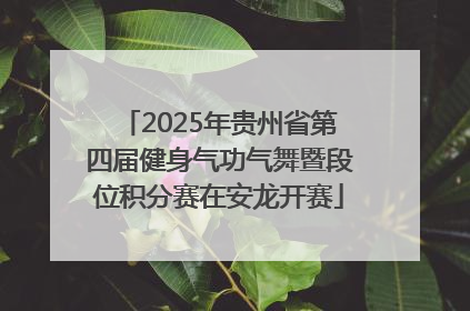 2025年贵州省第四届健身气功气舞暨段位积分赛在安龙开赛