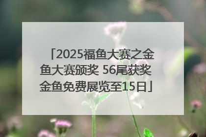 2025福鱼大赛之金鱼大赛颁奖 56尾获奖金鱼免费展览至15日