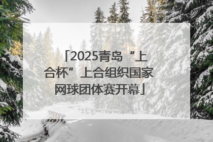 2025青岛“上合杯”上合组织国家网球团体赛开幕