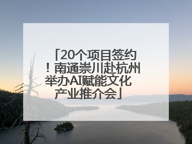 20个项目签约！南通崇川赴杭州举办AI赋能文化产业推介会