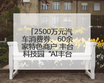 2500万元汽车消费券、60余家特色商户 丰台科技园“AI丰台 更京彩”未来玩家市集活动正式开幕