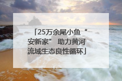 25万余尾小鱼“安新家” 助力黄河流域生态良性循环