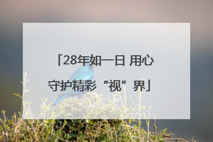28年如一日 用心守护精彩“视”界