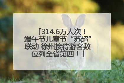 314.6万人次！端午节儿童节“苏超”联动 徐州接待游客数位列全省第四！