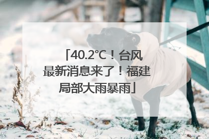 40.2℃！台风最新消息来了！福建局部大雨暴雨